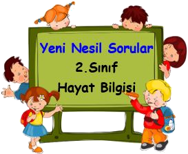  2. Sınıf Hayat Bilgisi Yeni Nesil Sorular