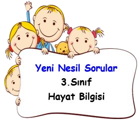  3.Sınıf Hayat Bilgisi Yeni Nesil Sorular
